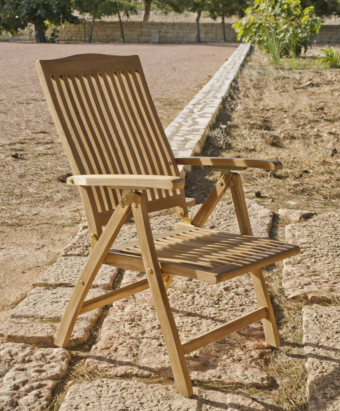 Set Madera Teka Seroni-Ext - Conjunto de madera de teka maciza: Mesa extensible de 180 a 240 cm, 8 sillones con cojines asiento