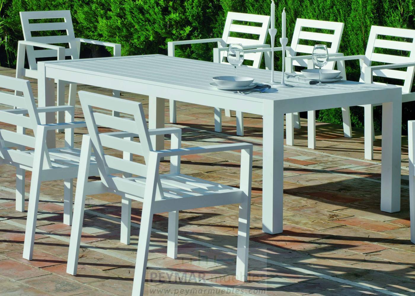 Set Aluminio Camelia-220/8 - Lujoso conjunto de alumino: Mesa de comedor de 220cm. + 8 sillones + cojines. Disponible en color blanco, antracita, champagne, plata o marrón