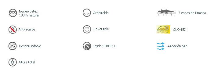 características técnicas